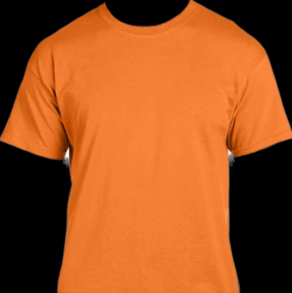 bundle of 10 brand new hanes shirts